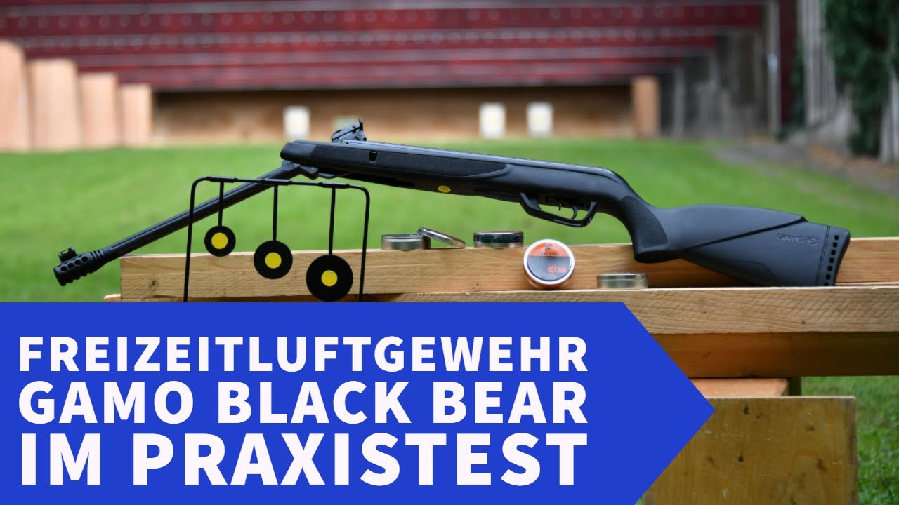 GAMO Black Bear: Freizeitluftgewehr in 4,5 mm Diabolo im Praxistest