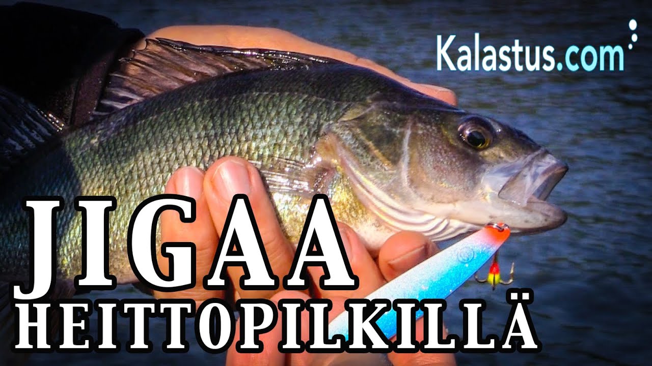 Näin jigataan heittopilkillä
