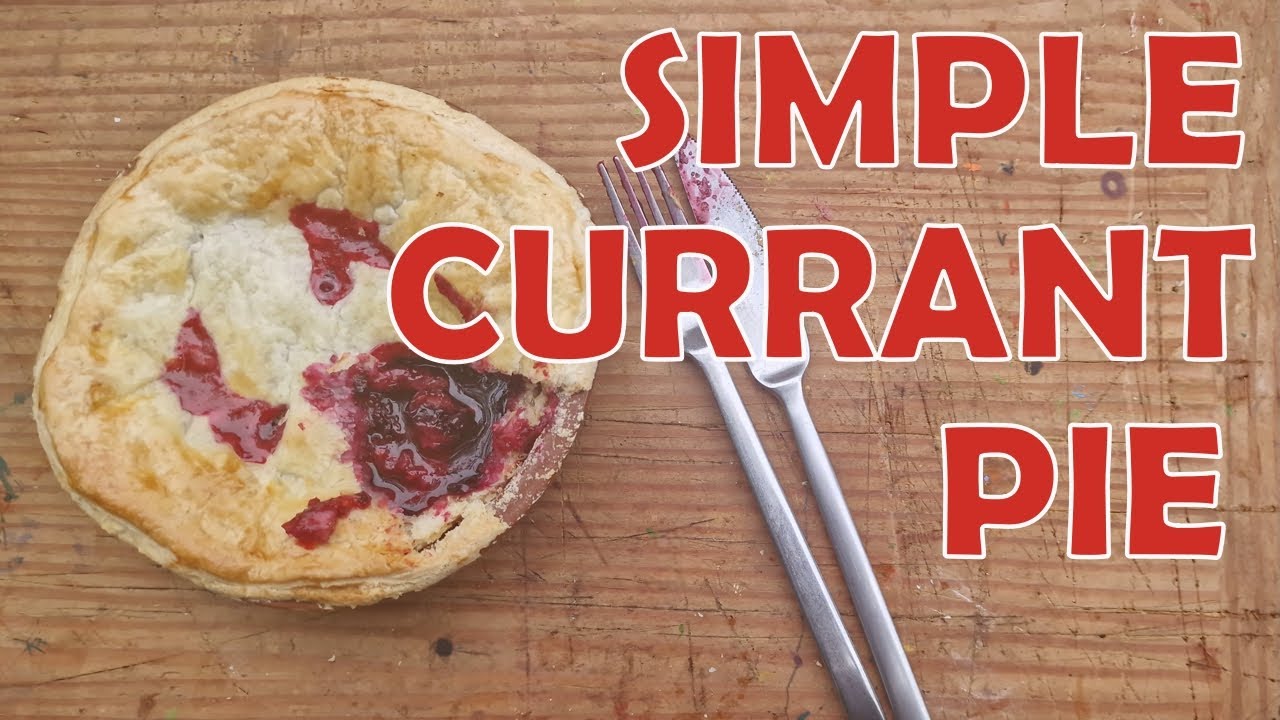 Currant Pie - a Plot to Plate Recipe - SO SIMPLE!