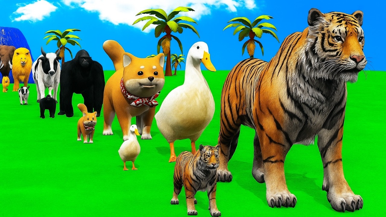 Long Slide Game With Cow Elephant Gorilla Hippopotamus Tiger 3d Animal Game Funny 3d Animals