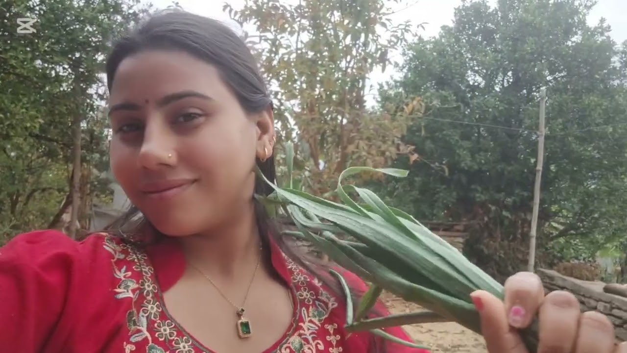 के के गरेर बित्यो त साथीहरू आजको हाम्रो दिन😁😁😱❣️🌺#foryou #minivlog #vairalvideo 