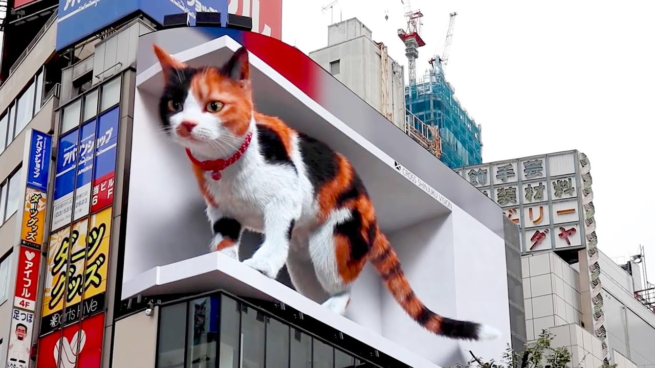 Tokyo 3D