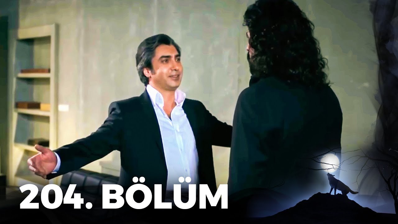 Kurtlar Vadisi Pusu - 204. Bölüm FULL HD