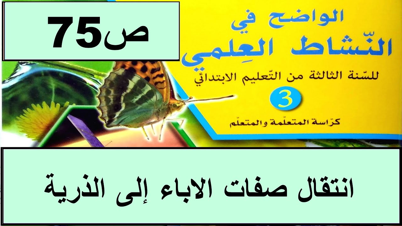 كيف يتم انتقال صفات الاباء إلى الذرية؟ ص75 الواضح في النشاط العلمي  المستوى الثالث طبعة 2020