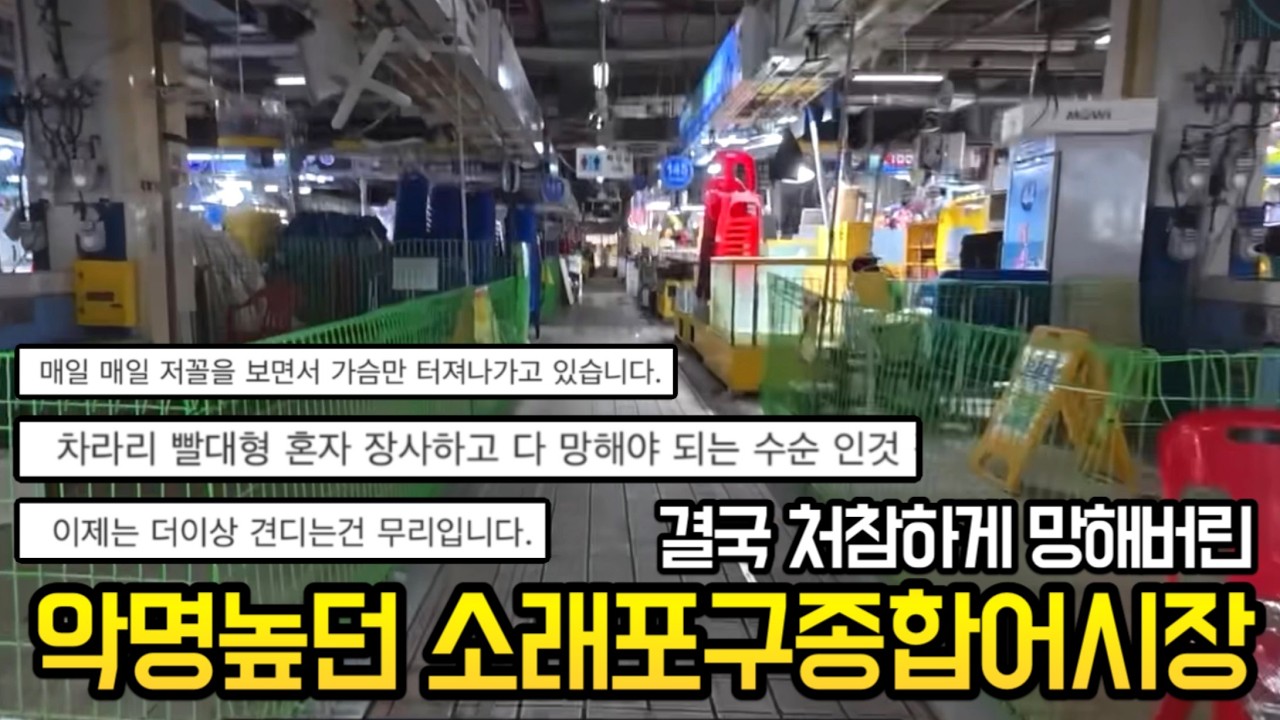 잘 보세요.우리나라 수산시장,이렇게 망하는겁니다.(feat.소래포구종합어시장 언터쳐블맨)