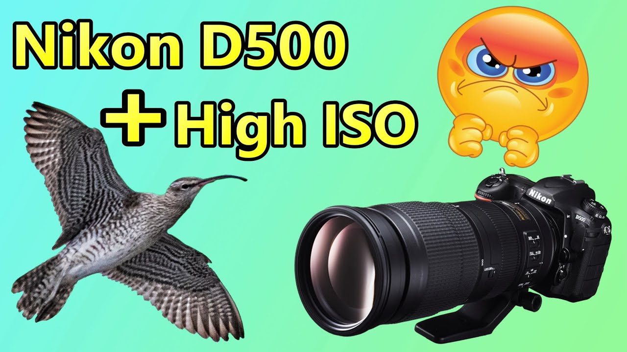 Nikon D500 and High ISO = Noisy Photos