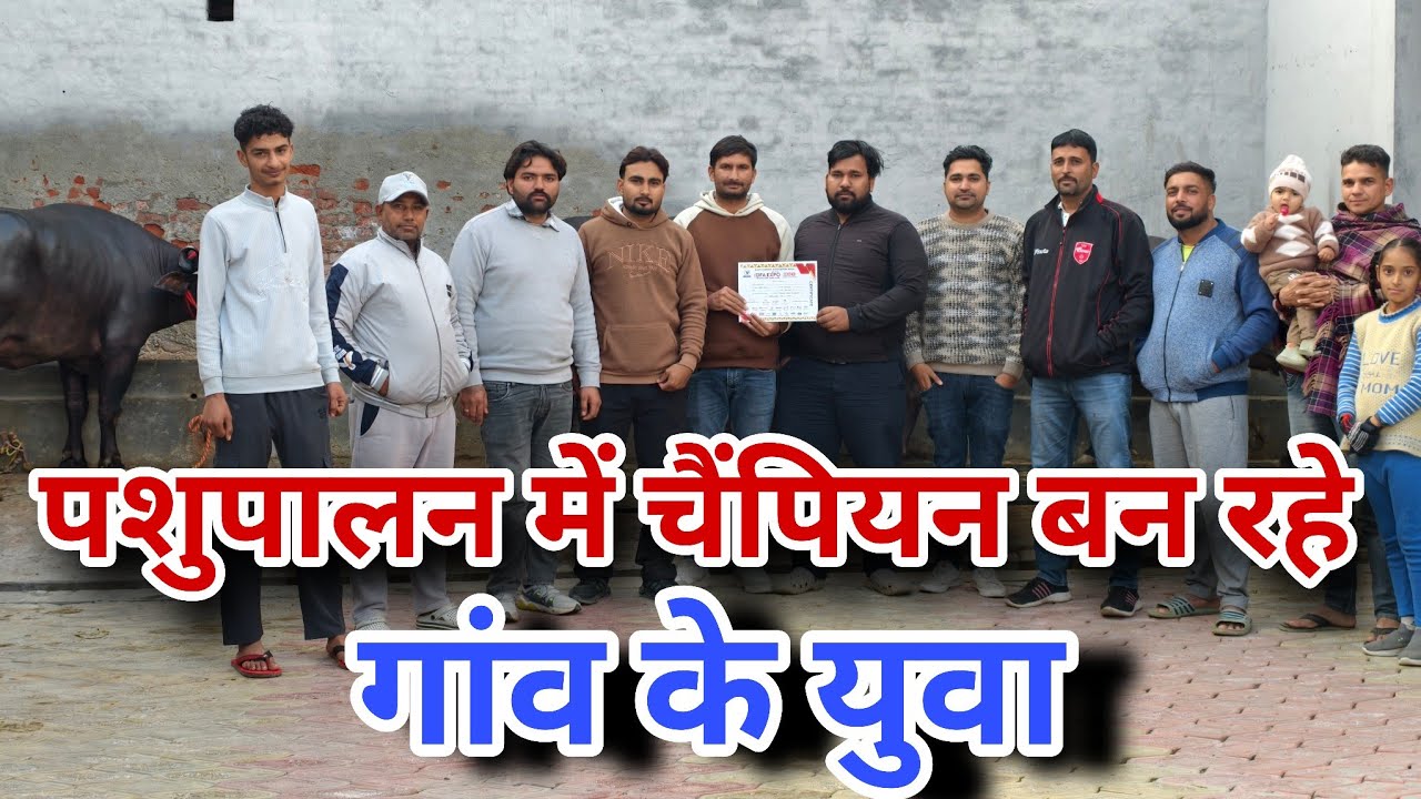नए दौर में नए युवा पशुपालन में आए और Breading पर कर रहे काम। Village Serdha