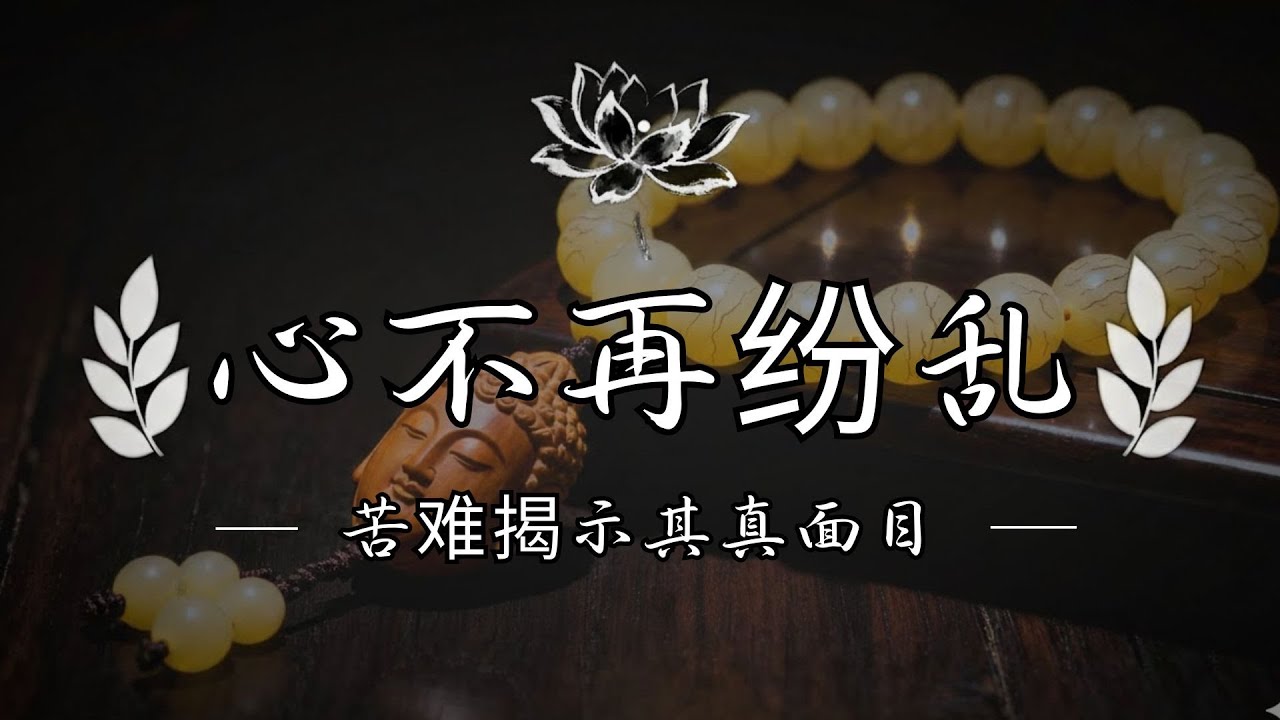 水面无波，才能照见万物真相。人心也一样｜觉行圆满  #修行 #國學 #人生感悟 #治癒