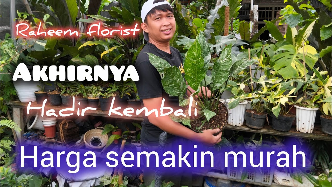 Makin murah Ajja di Raheem florist 