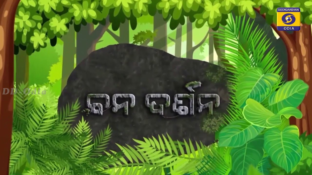 Banadarshana || Eco Tourism (Hirakud Wildlife)
