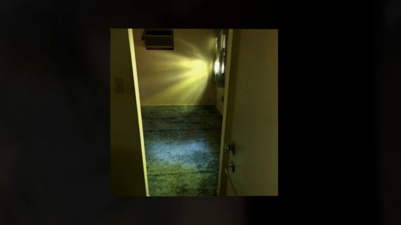water damage removal in Long Island City - Flooded Basement Clean Up