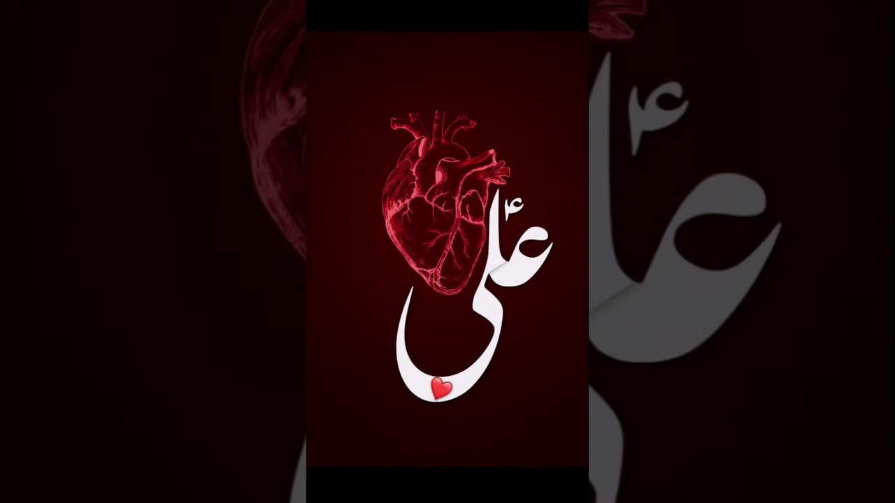 Mola Ali Status |4k full screen whatsappstatus |Mola ali Ali whatsappStatus |qawwalistatus dj♥️