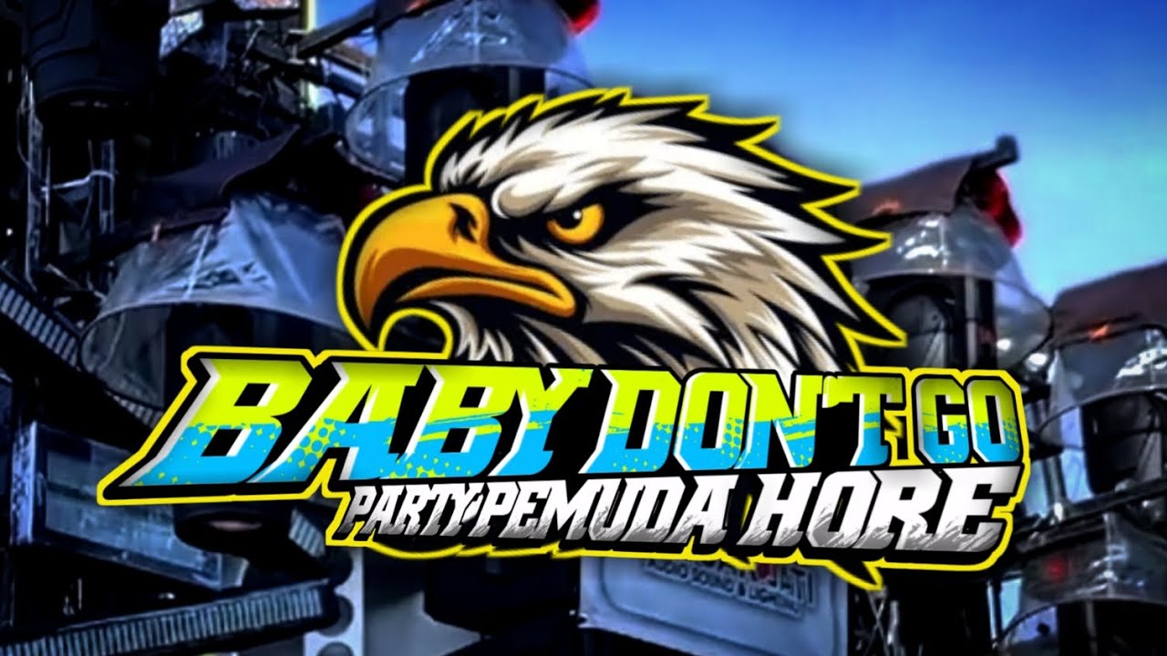 DJ PARTY BABY DON'T GO PEMUDA HORE VIRAL