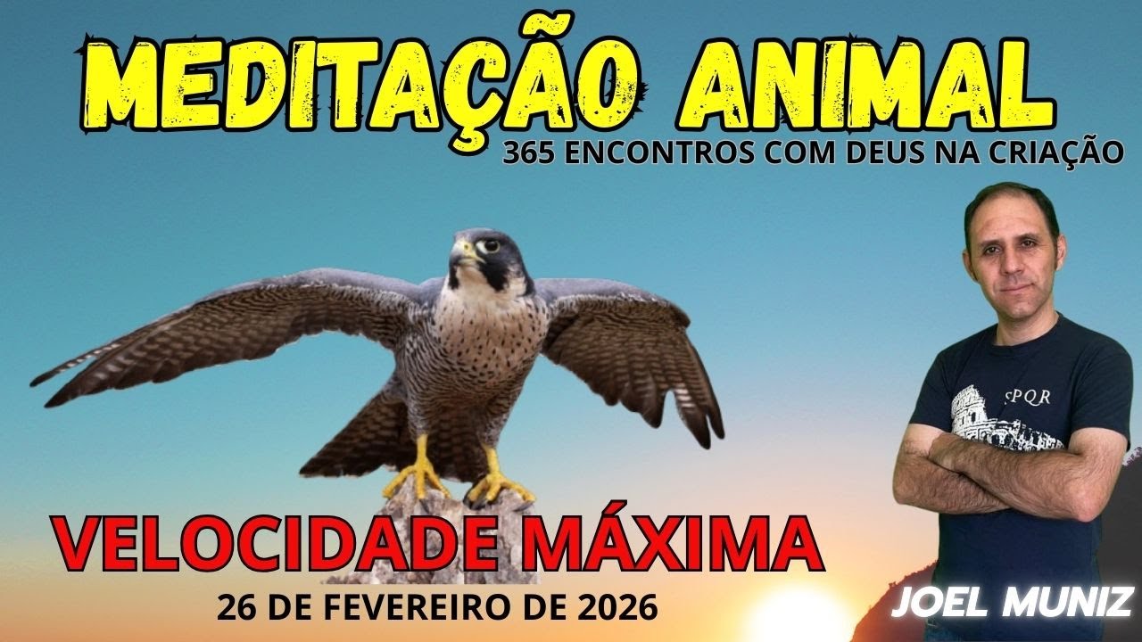 VELOCIDADE MÁXIMA - 26 DE FEVEREIRO DE 2026 - MEDITAÇÃO ANIMAL