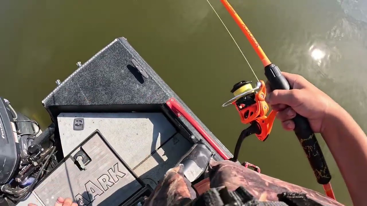 Catchin bait with bare hook
