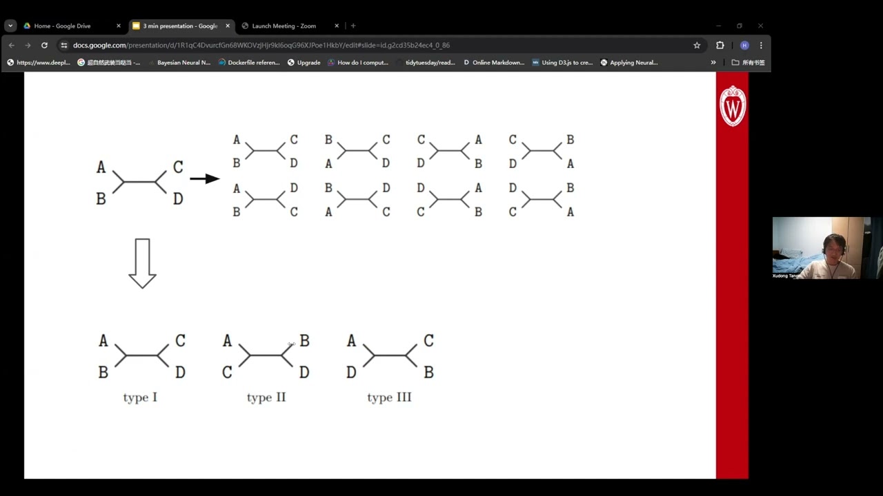Novel Symmetry-preserving Neural Network Model for Phylogenetic Inference