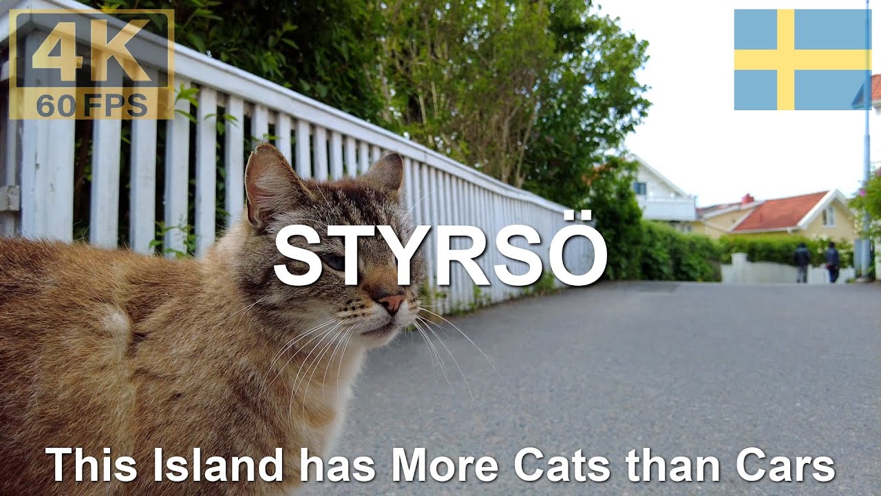 STYRSÖ, Sweden 🇸🇪 in 4K | 2025 | Summer Walk in Car-Free Island Town Tången