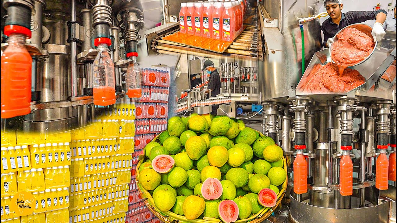 India's Biggest Fully Automatic Natural Red Guava Juice Mega Factory Rs 15 Only l Gujarat Food Tour