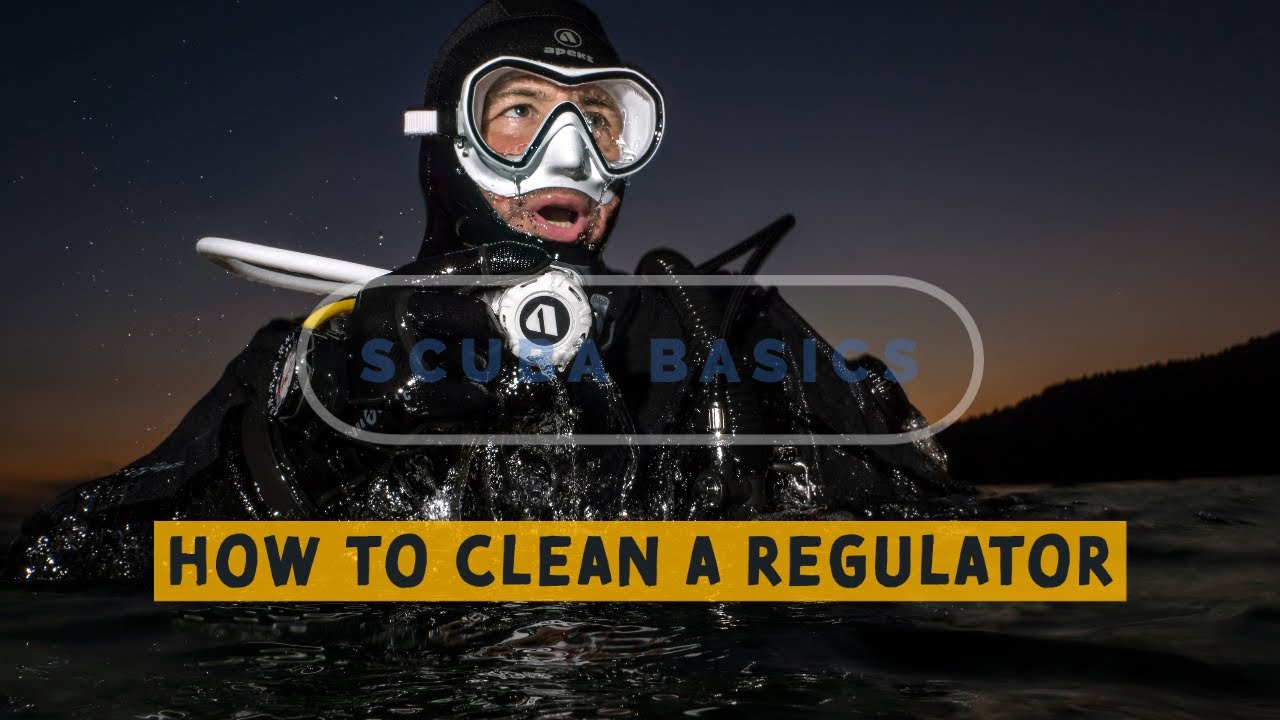 Scuba Diving Basics: How To Clean Your Regulator