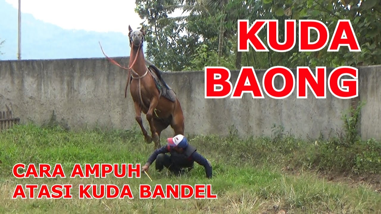🦄💥KUDA PALING BANDEL DI CEMPAKA JAYA STABLE💥