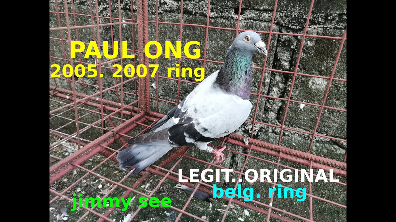 Paul ong legit jimmy see