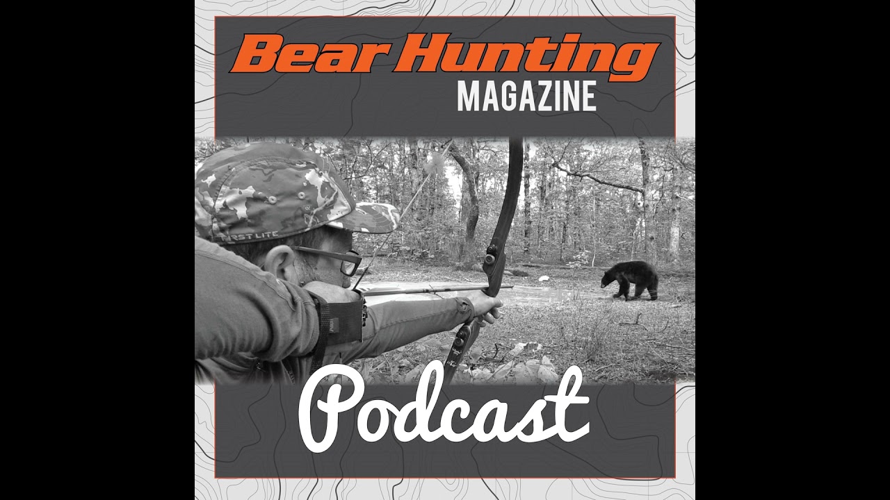 Black Bear Shot Placement for Dummies