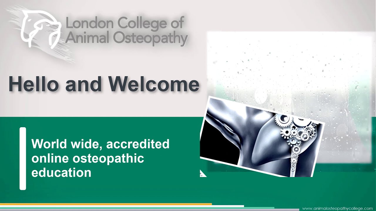 London College of Animal Osteopathy (LCAO) Course Demo