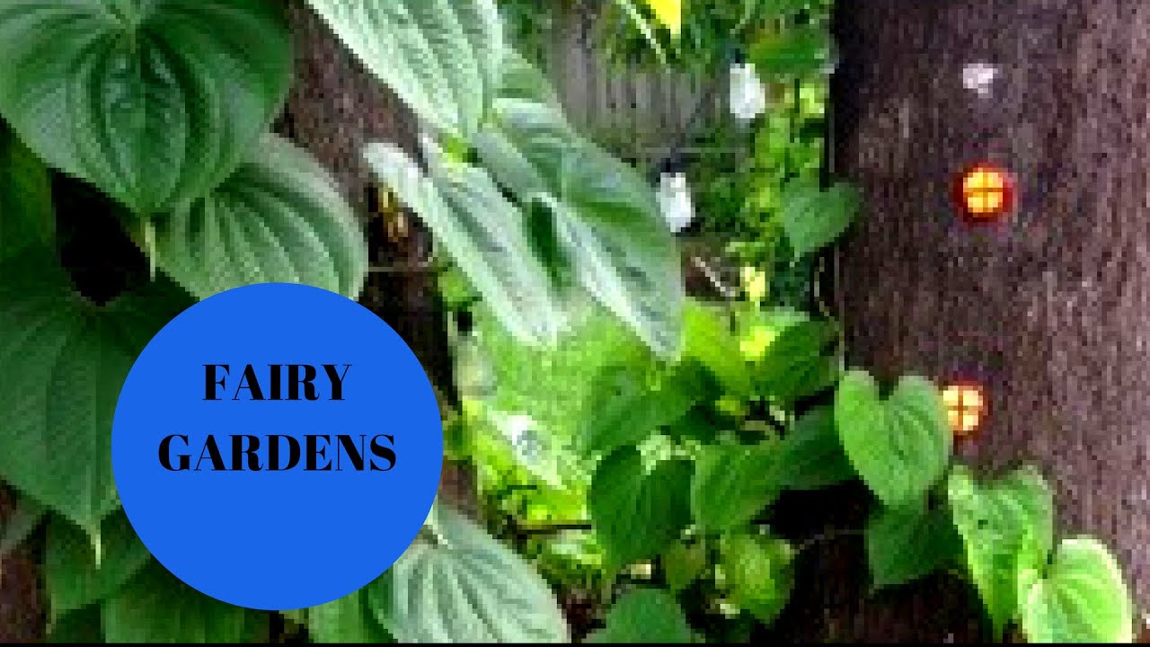 Fairy Garden Ideas
