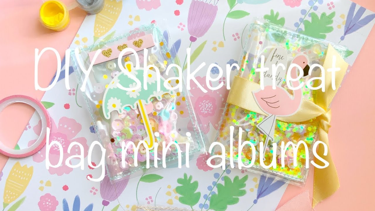 DIY Shaker Treat Bag Mini Album