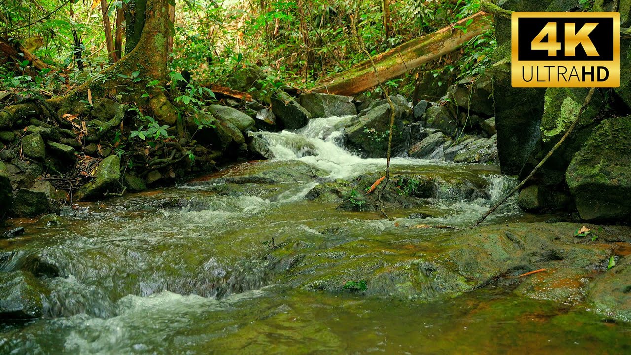 Natural Waterfall Sounds | Focus, Study, Relax & Block Out Distractions