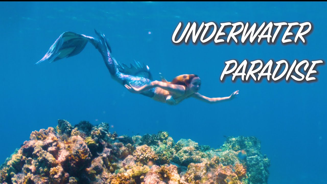 AMAZING DOLPHIN MERMAID OCEAN Tour!!