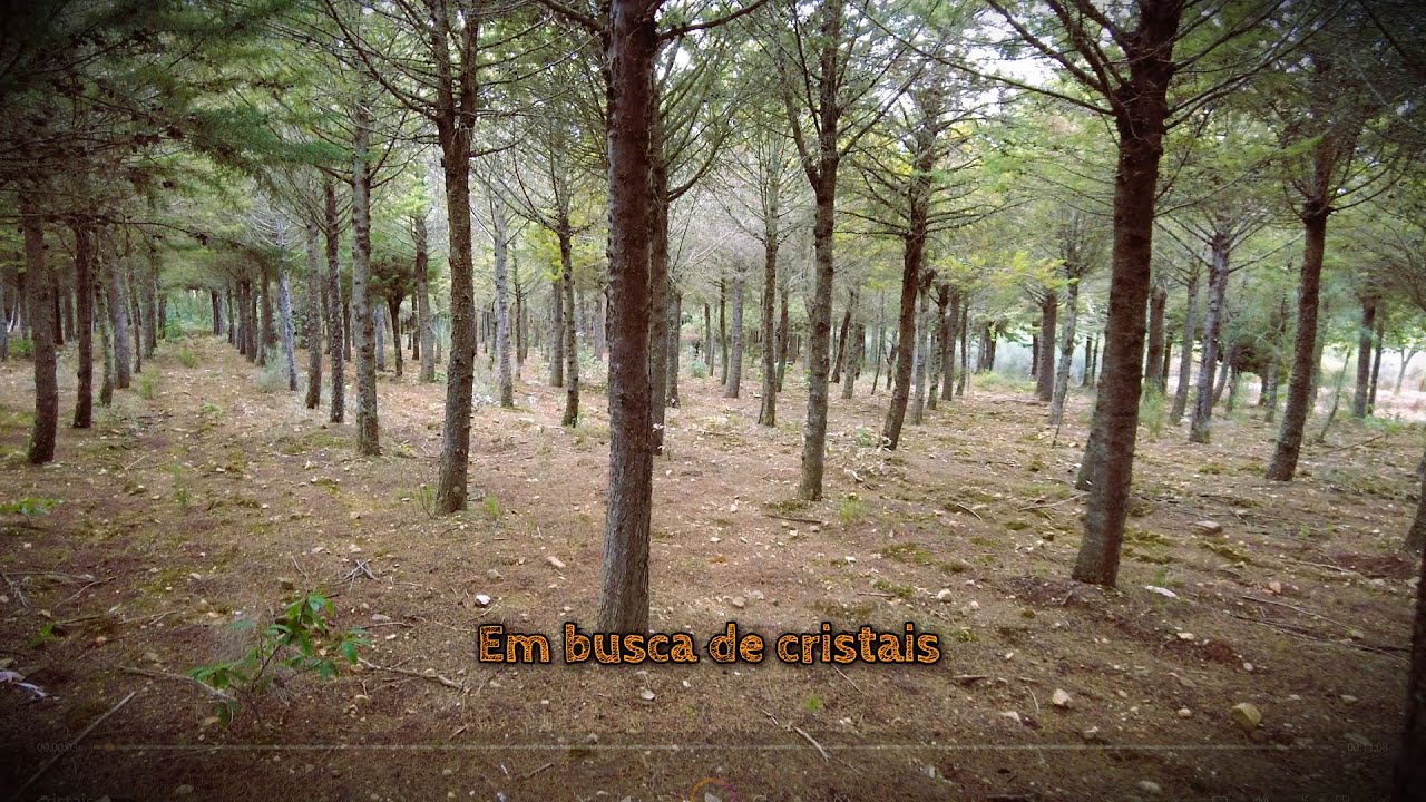 Em busca de cristais...