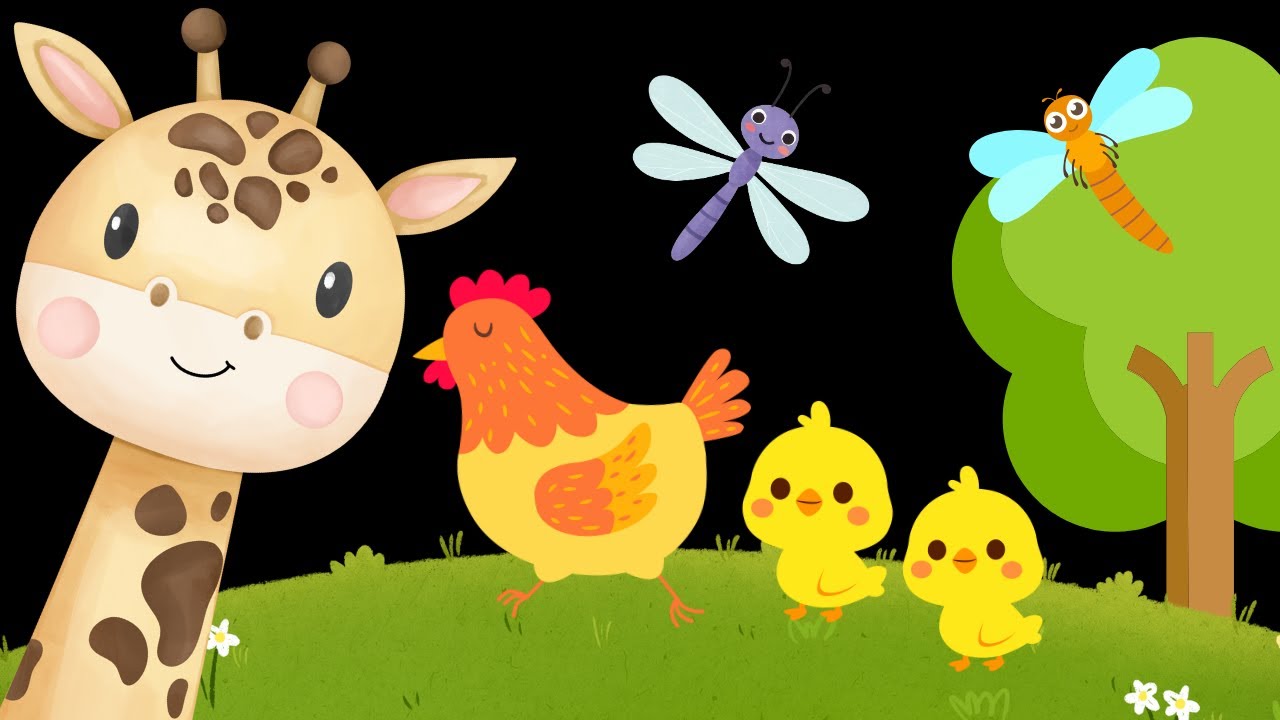 Baby Sensory Video - High Contrast Visual Stimulation - Sensory Videos For Babies - Tummy Time