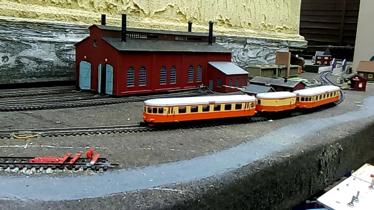 Swedish Railbus train on FLMJ