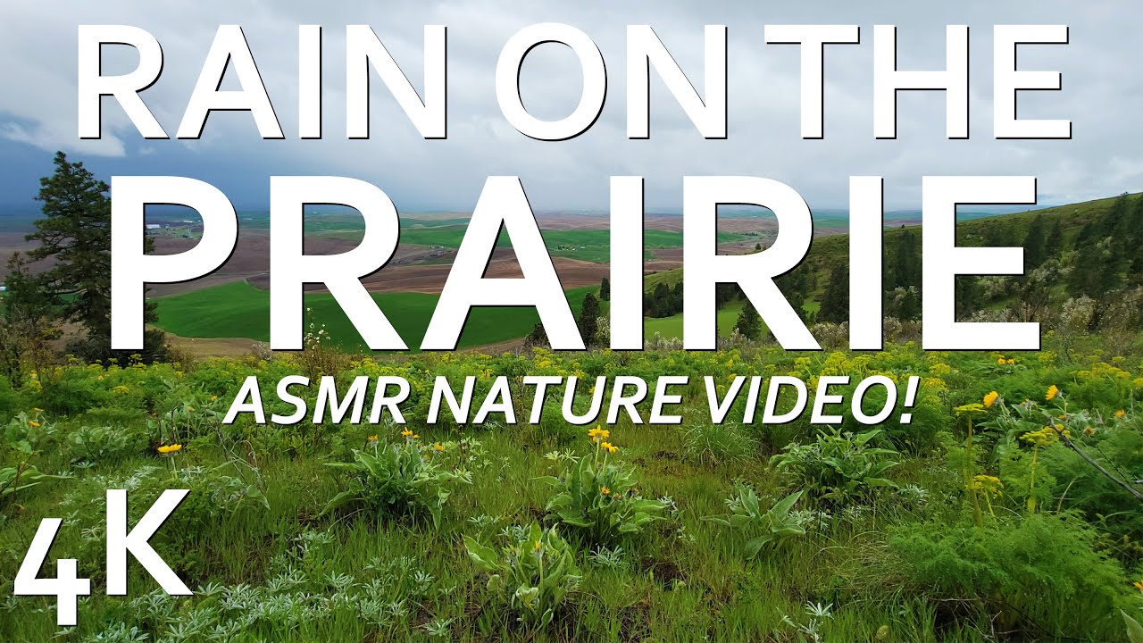 Rain on the Prairie 4K ASMR Relaxing Nature Video