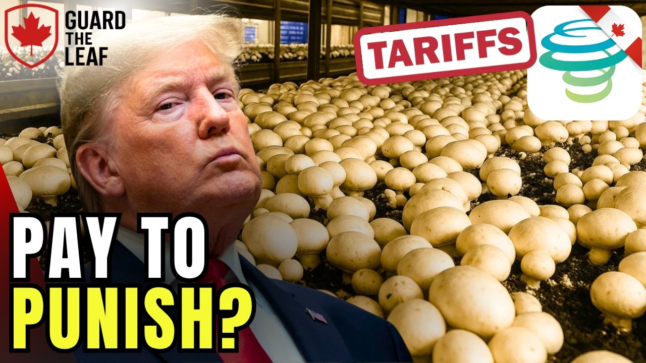 Canadians Refuse To Reward America&rsquo;s Tariffs