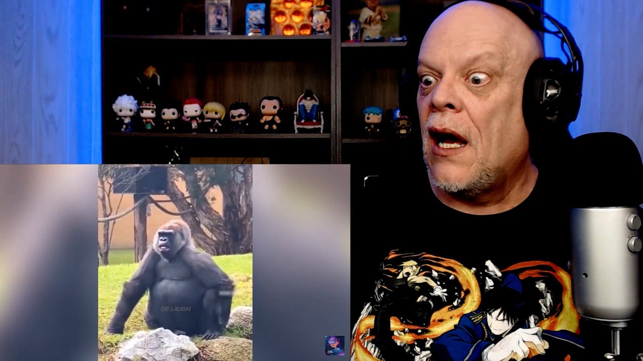 TRY NOT TO LAUGH | BEST MEMES | This Guy Is A LEGEND! 😂