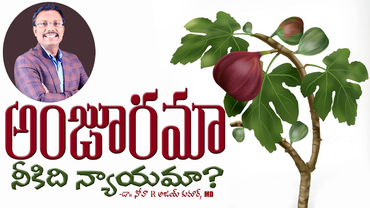 అంజూరమా నీకిది న్యాయమా? - Lessons From The Fig Tree - Dr. Noah