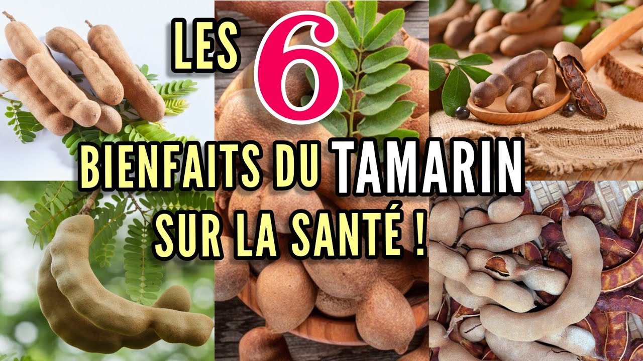 Les 6 Bienfaits Du Tamarin Sur La Santé!