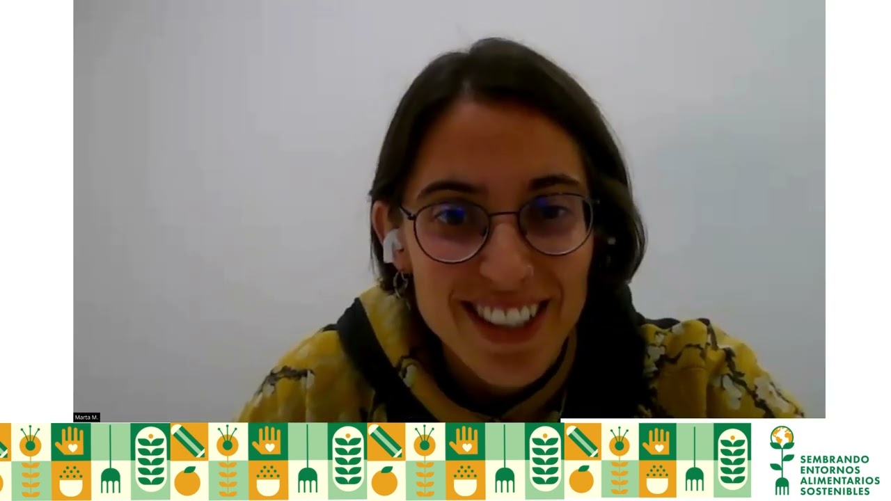 Webinar Experiencias de comisiones de sostenibilidad.