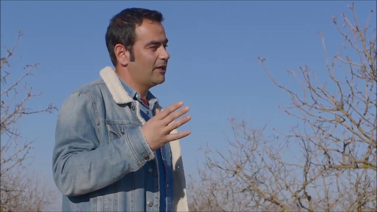 Cultivo y calidad del pistacho en Castilla La Mancha