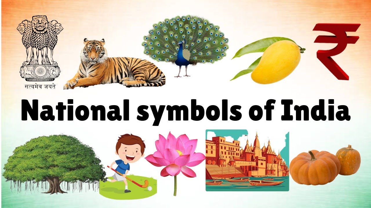 Learn National symbols of India in English |National symbols| India | Home Schooling for kids| Vd:39