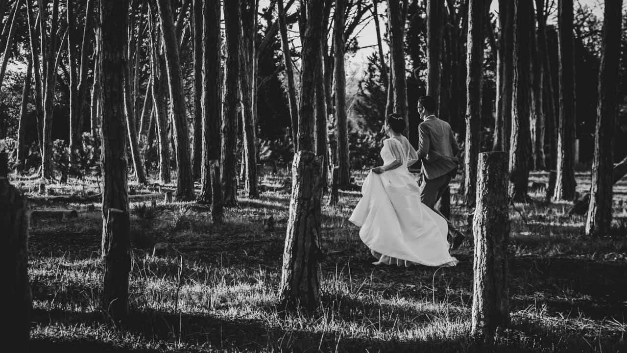 Dirk & Rozanne Wedding Day Highlights | Winery Road Forest