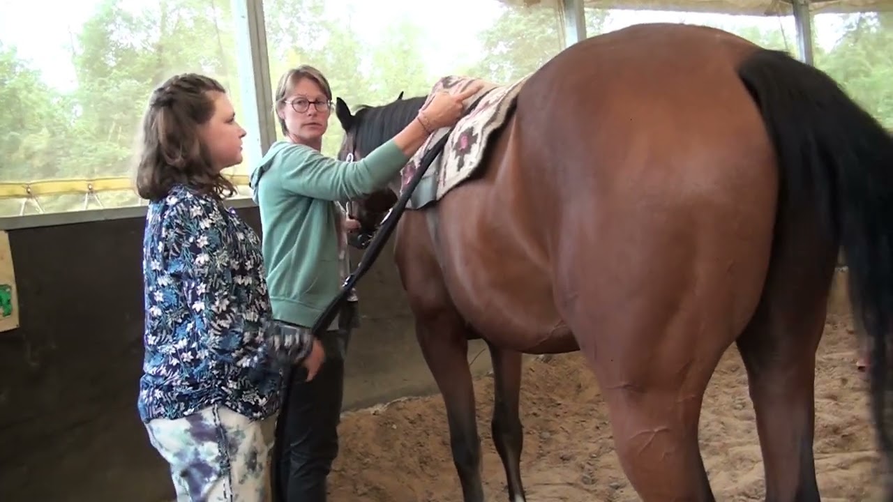 HAPPY HANDICAP AND HORSE'S