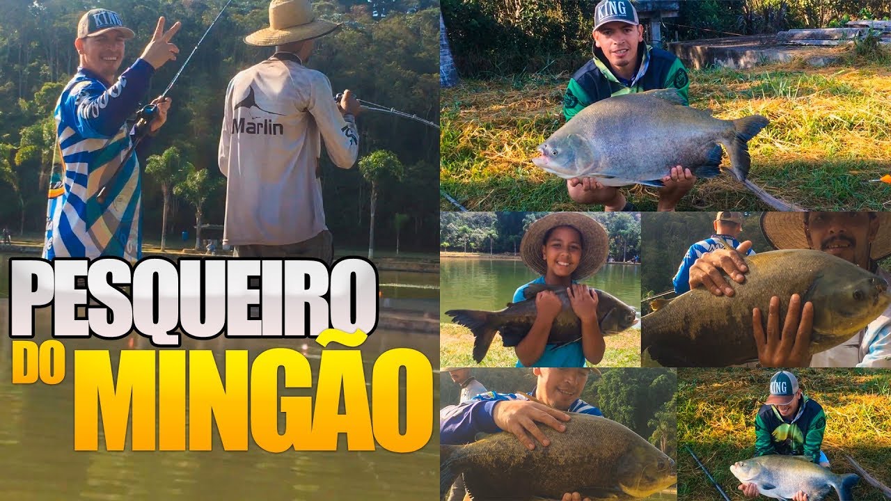 Pesqueiro do Ming&atilde;o - Fam&iacute;lia 100% - Pesca Esportiva