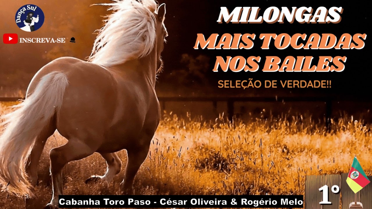 MELHORES SELEÇÔES DAS MÚSICAS GAUCHESCAS 🚨 RITMO MILONGA ! 🚨