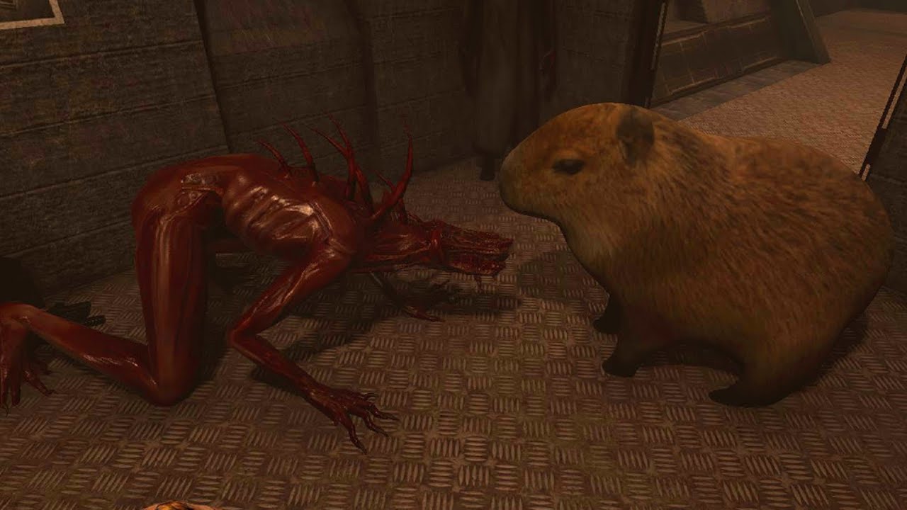 KAPIBARA ZBIERA KRWAWE ŻNIWO (w/Ekipa) | RANDOMOWO W SCP:SL (S5E07)