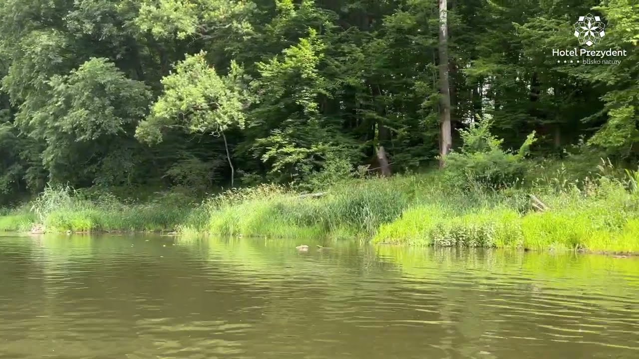 Hotel Prezydent w Spale - spływ kajakowy rzeką Pilicą.