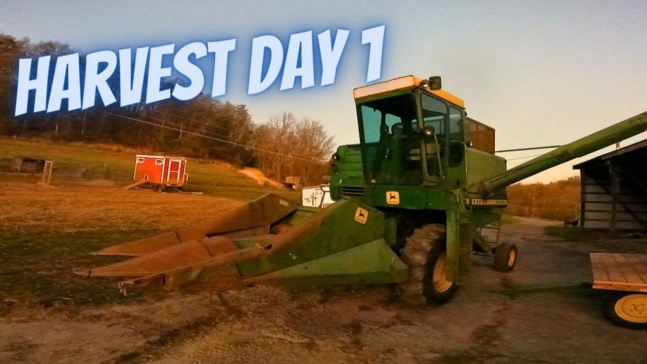 First Day of Corn Harvest! | John Deere 3300