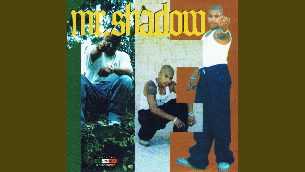 Mr. Shadow